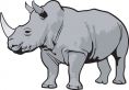 Rhinos